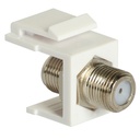 DPJ2312-b