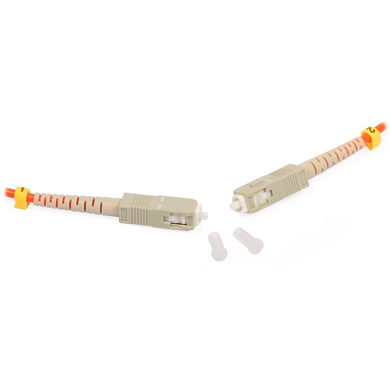DPL30119-b