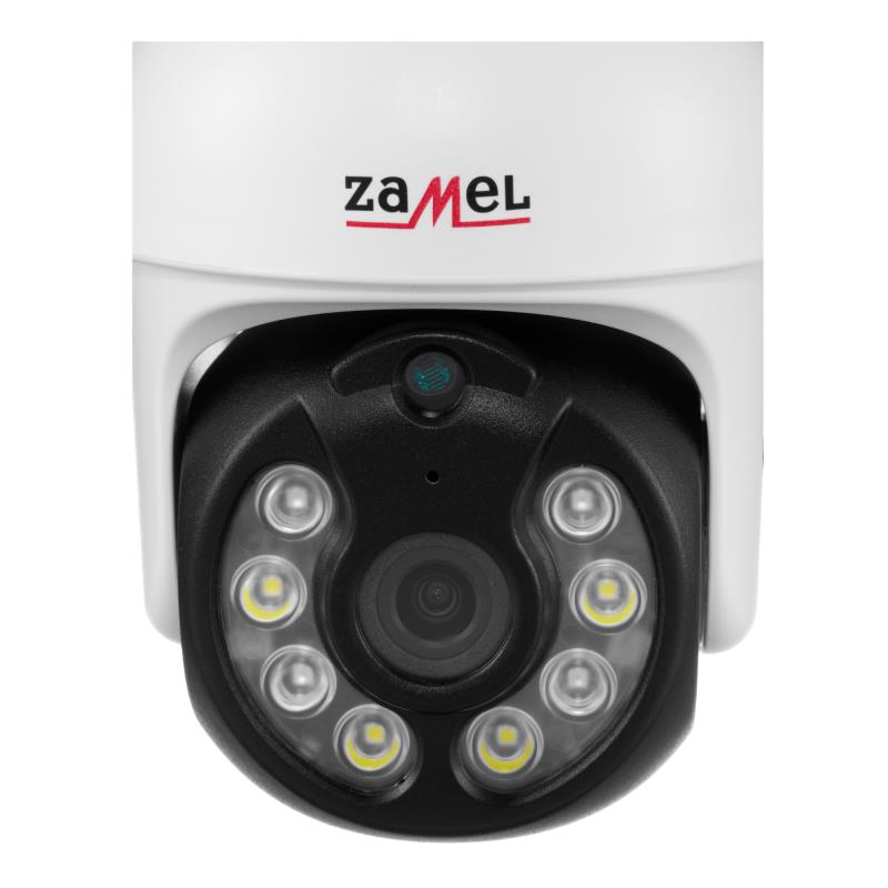 ZMZPT01_d