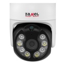 ZMZPT01_d