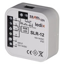 ZMSLR12-b